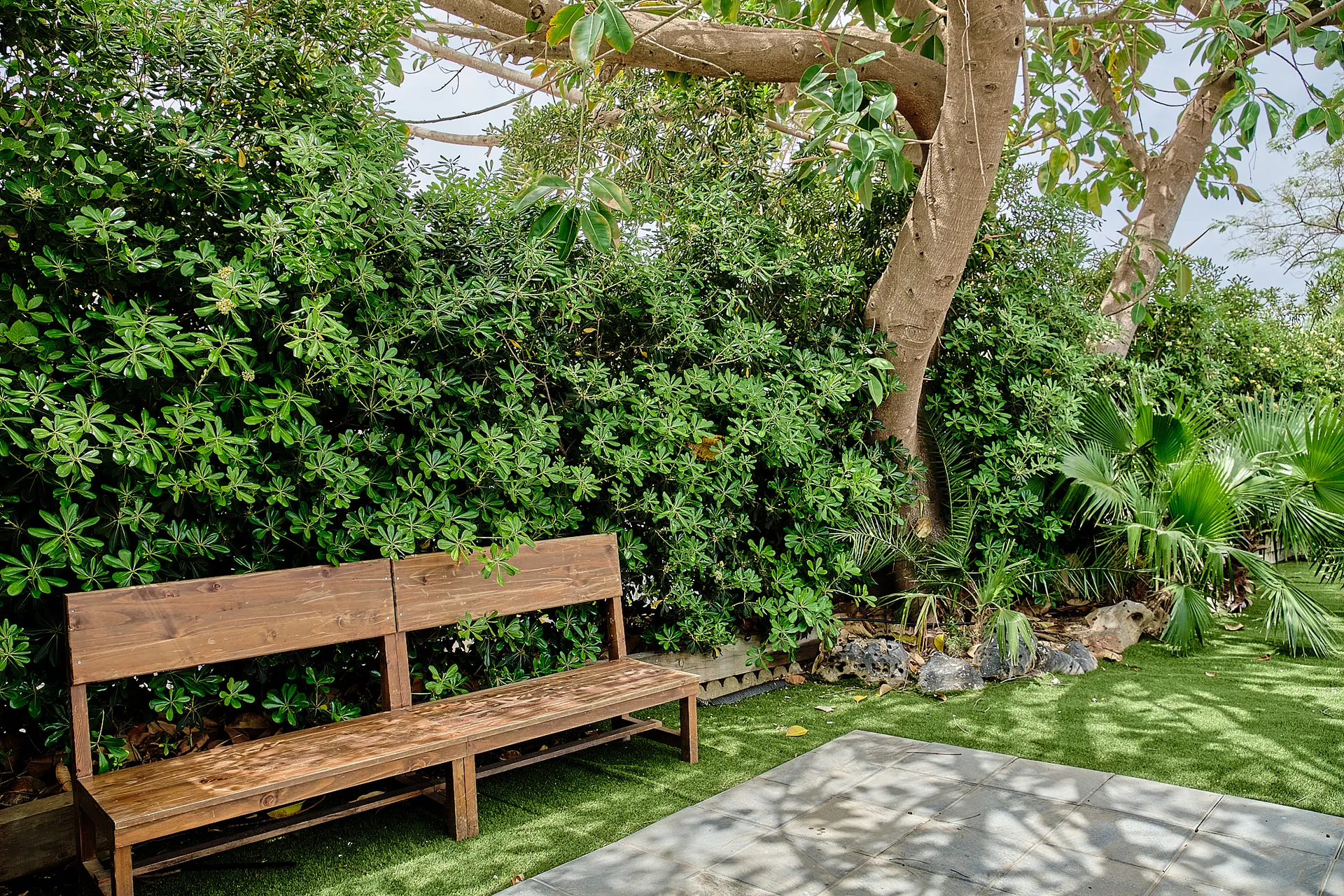 20250503 CASA TOMAS - EL JARDIN- 3R (81)_resultado