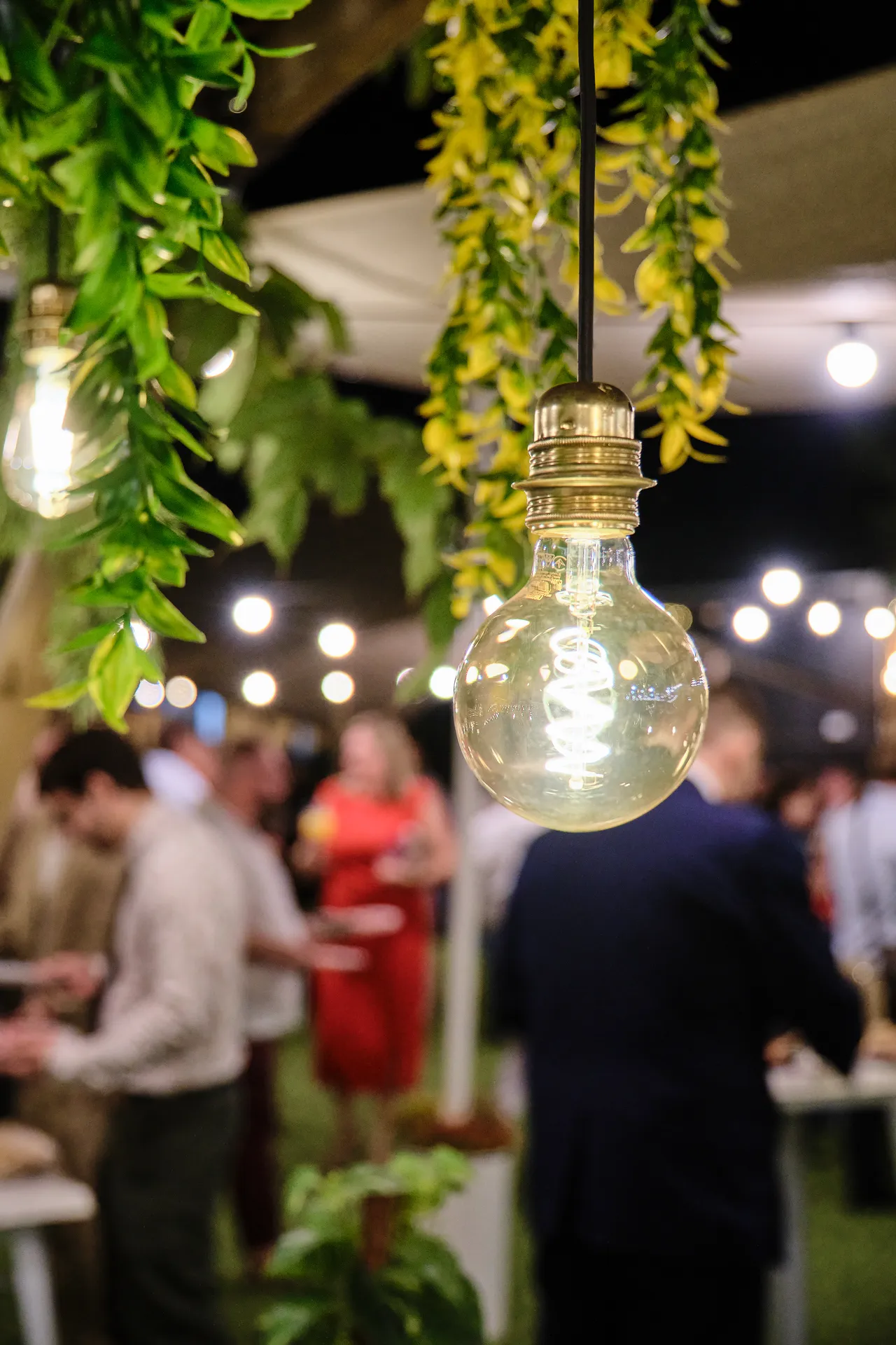 20250829 CASA TOMAS - BODACBOTANICO - 3R (88)_resultado