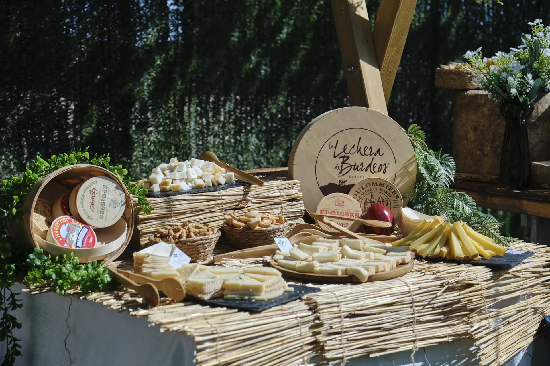 20251018 CASA TOMAS - AGUAS BOTANICO - 3R (126)_resultado