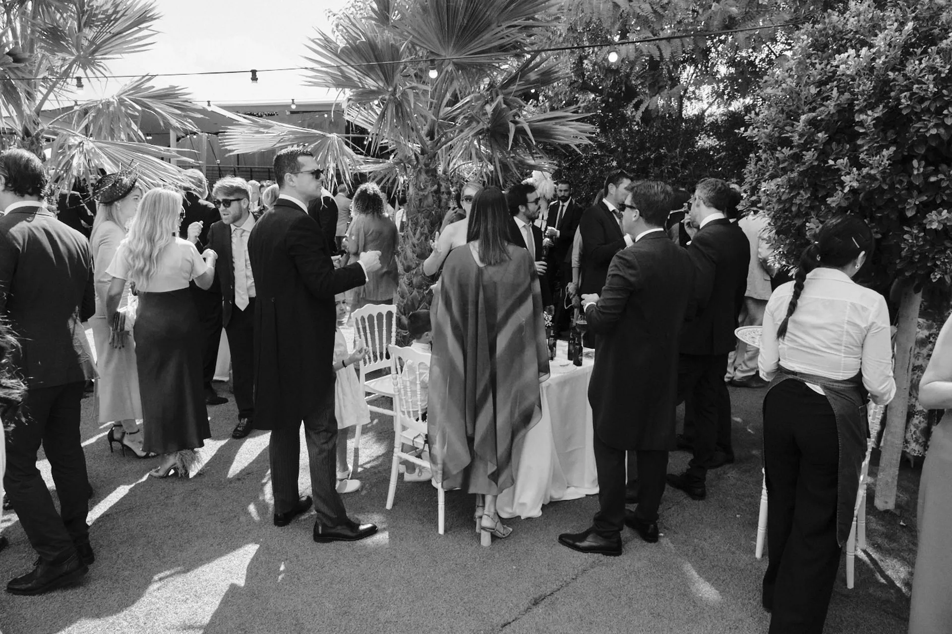 20251018 CASA TOMAS - AGUAS BOTANICO - 3R (218)_resultado