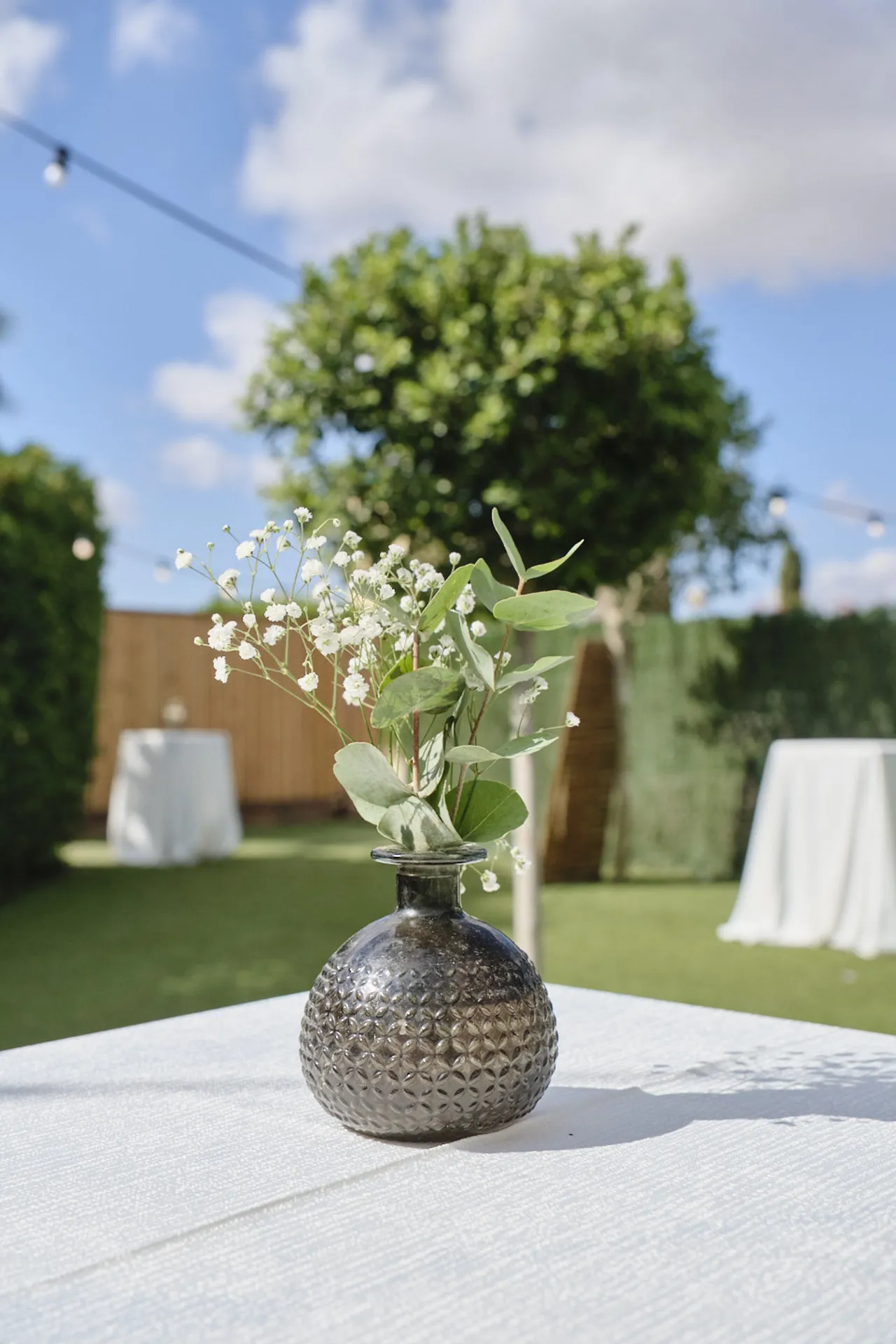 20251018 CASA TOMAS - AGUAS BOTANICO - 3R (22)_resultado