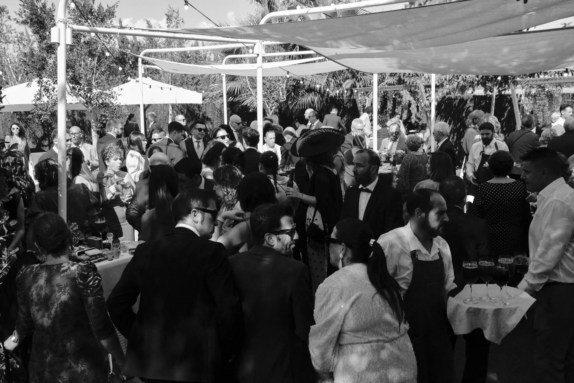 20251018 CASA TOMAS - AGUAS BOTANICO - 3R (255)_resultado