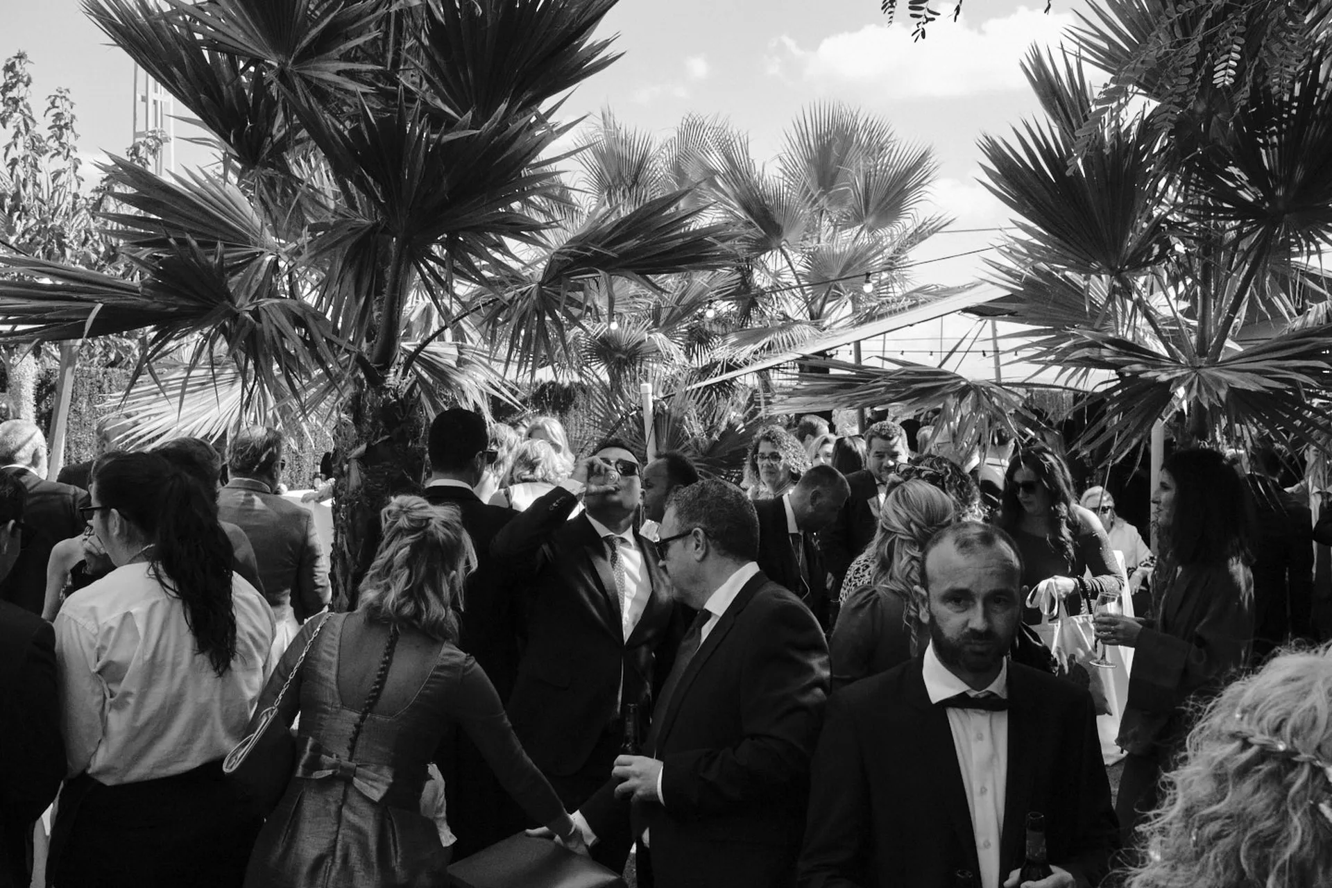 20251018 CASA TOMAS - AGUAS BOTANICO - 3R (256)_resultado