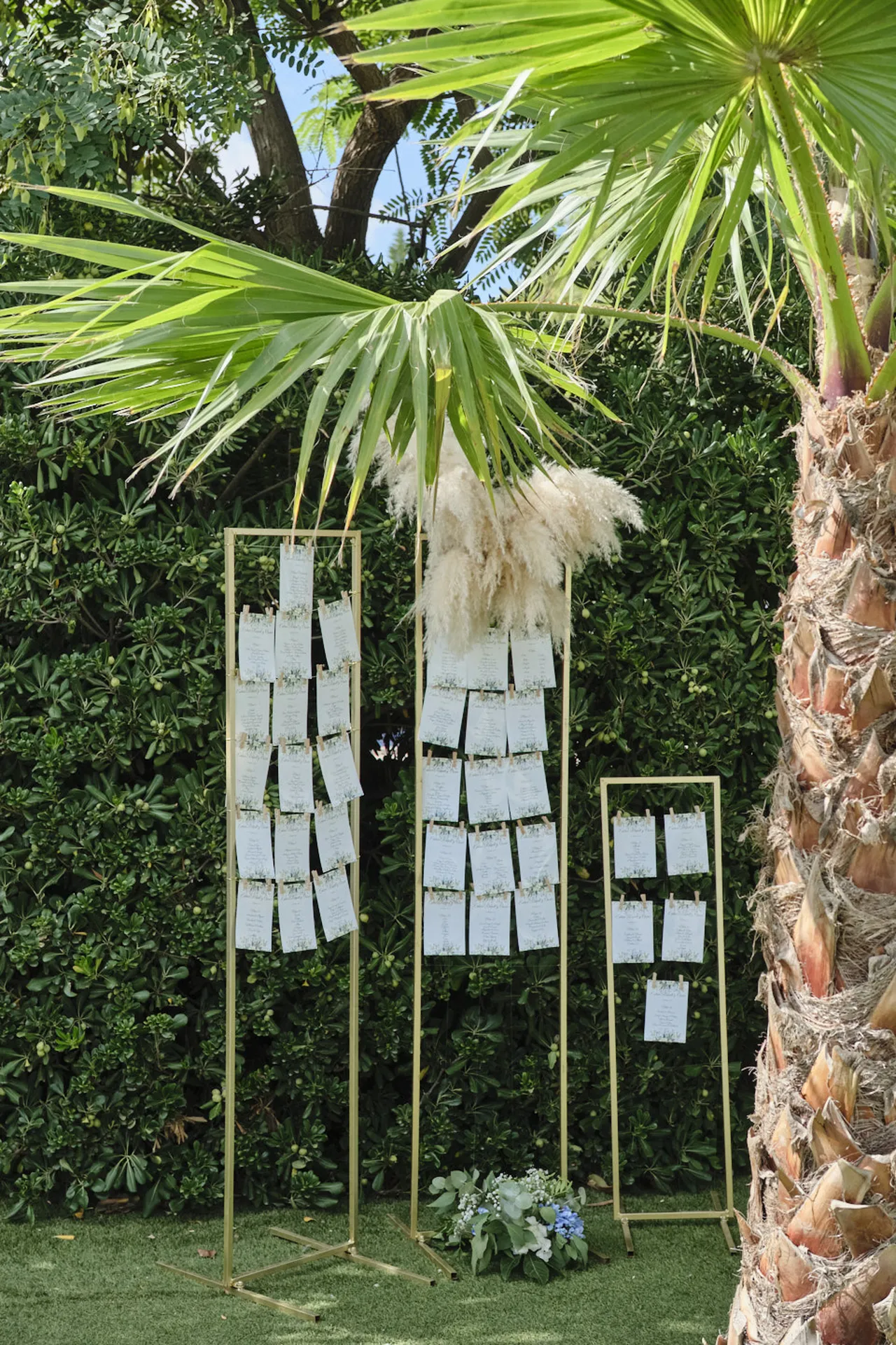 20251018 CASA TOMAS - AGUAS BOTANICO - 3R (26)_resultado