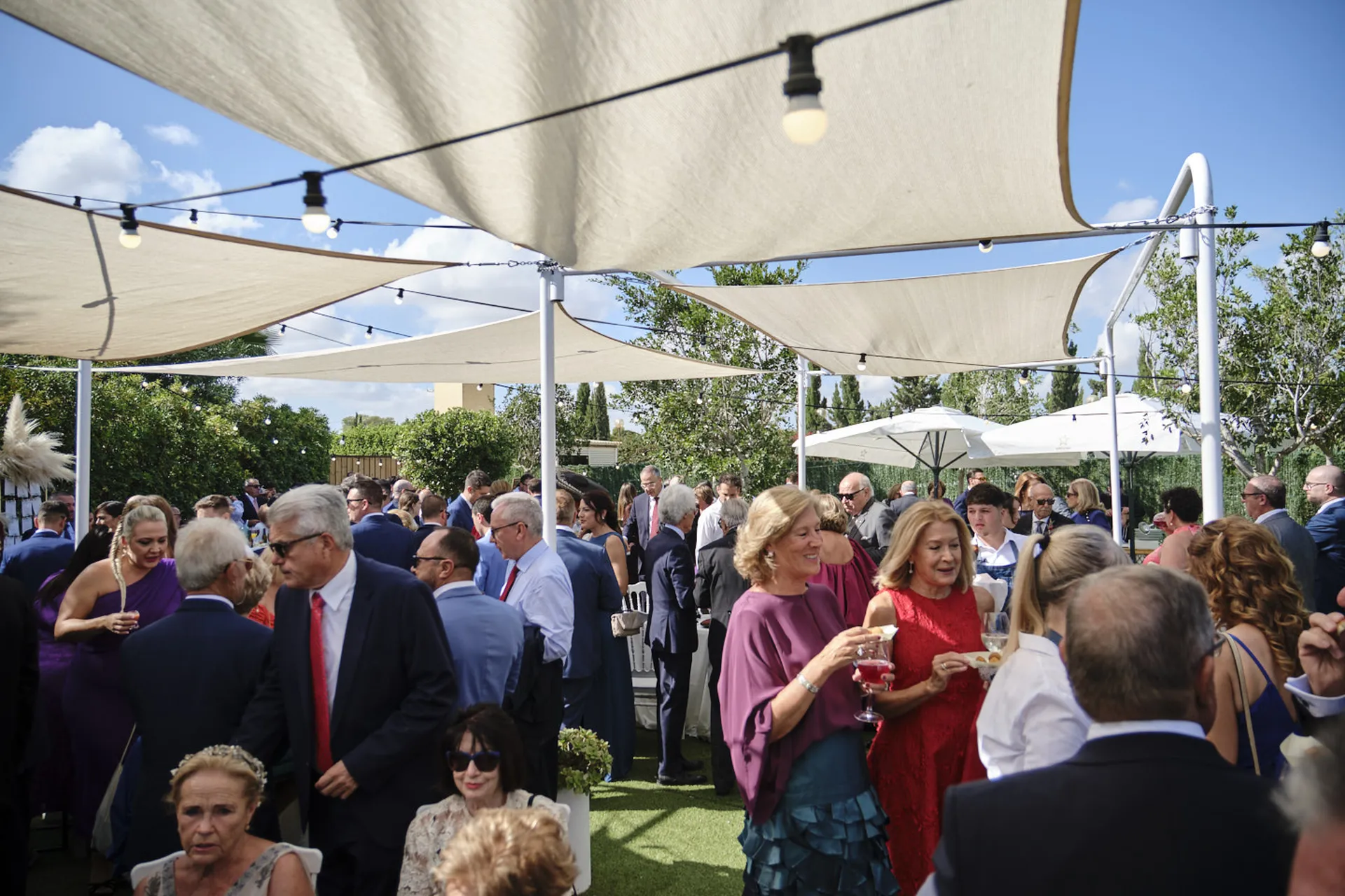 20251018 CASA TOMAS - AGUAS BOTANICO - 3R (324)_resultado