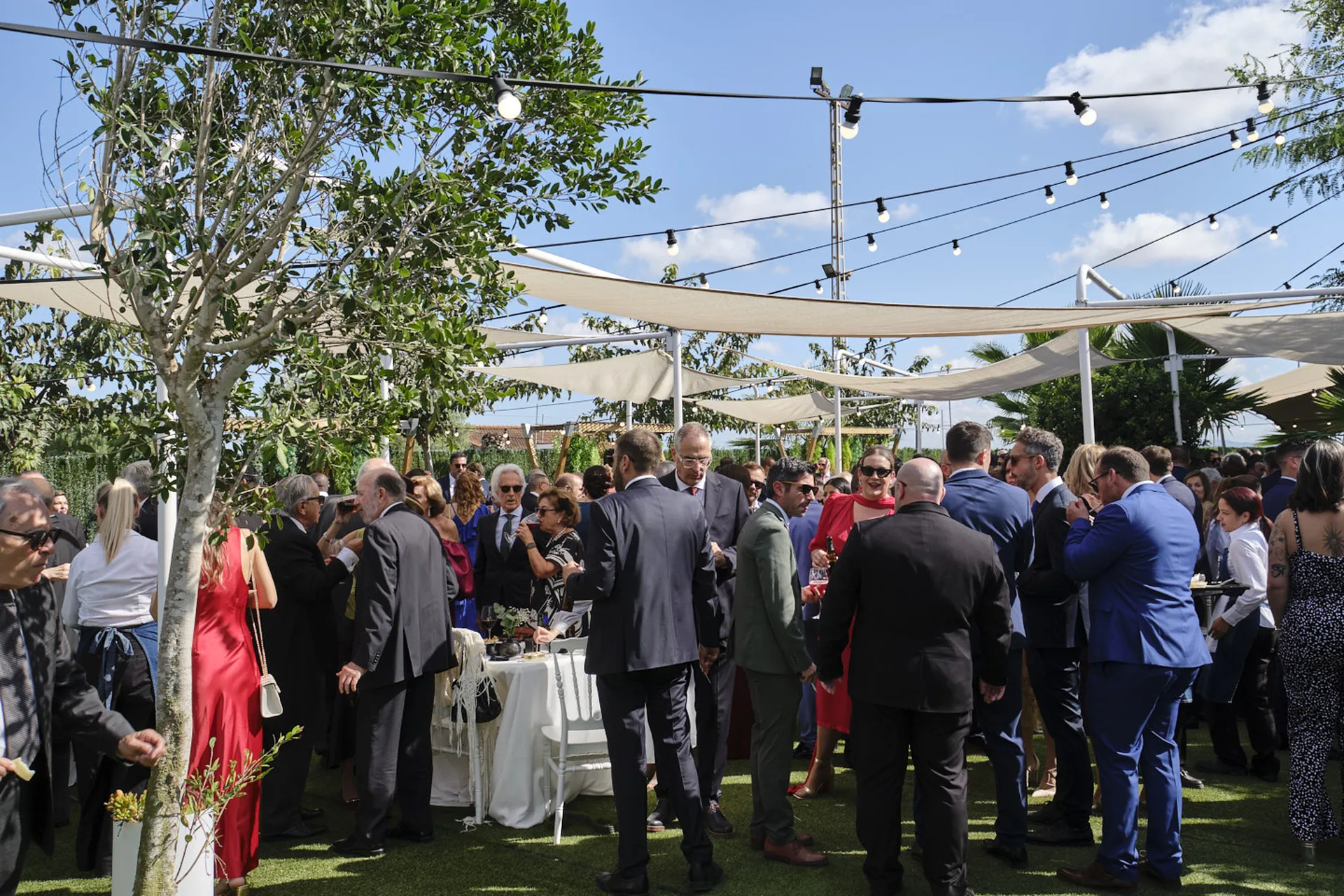 20251018 CASA TOMAS - AGUAS BOTANICO - 3R (329)_resultado