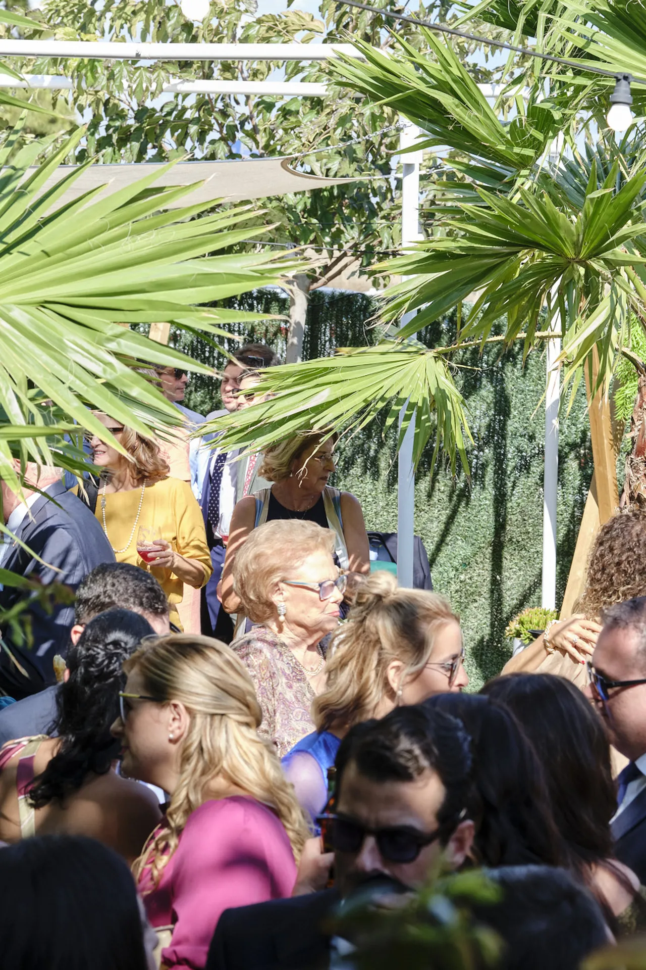 20251018 CASA TOMAS - AGUAS BOTANICO - 3R (373)_resultado