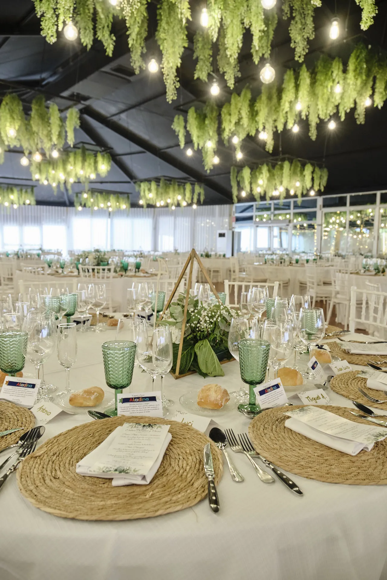 20251018 CASA TOMAS - AGUAS BOTANICO - 3R (37)_resultado