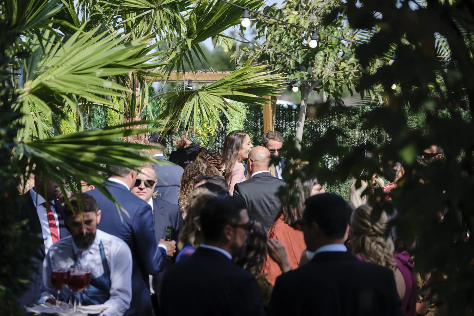 20251018 CASA TOMAS - AGUAS BOTANICO - 3R (405)_resultado