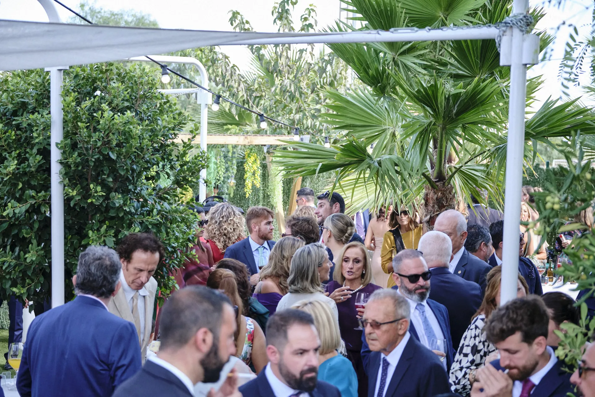 20251018 CASA TOMAS - AGUAS BOTANICO - 3R (410)_resultado