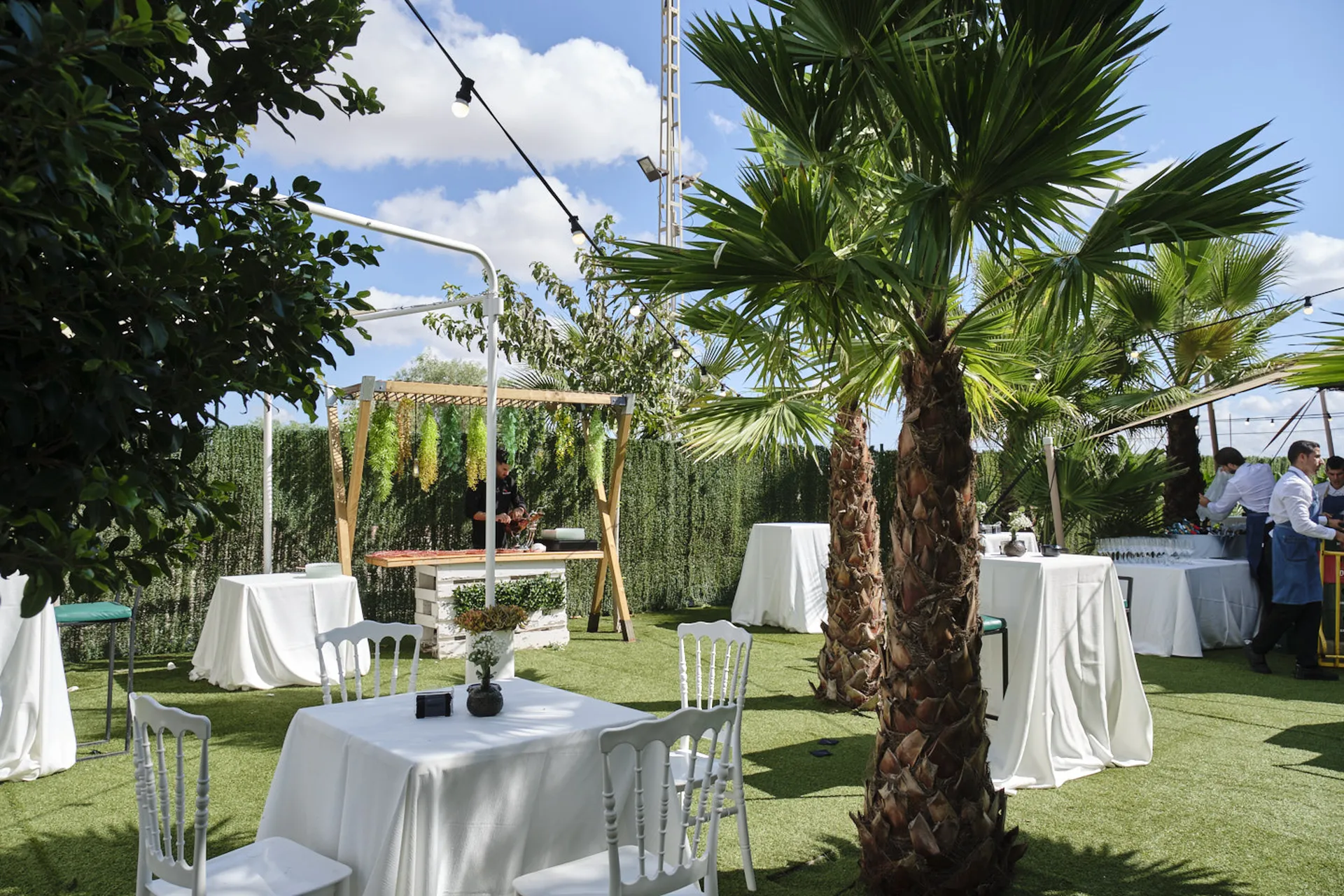 20251018 CASA TOMAS - AGUAS BOTANICO - 3R (93)_resultado